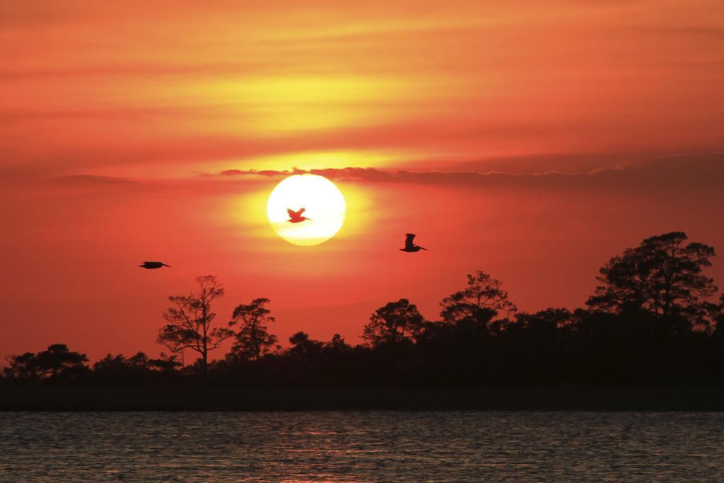 Hotel Tybee Tybee Island Ngoại thất bức ảnh